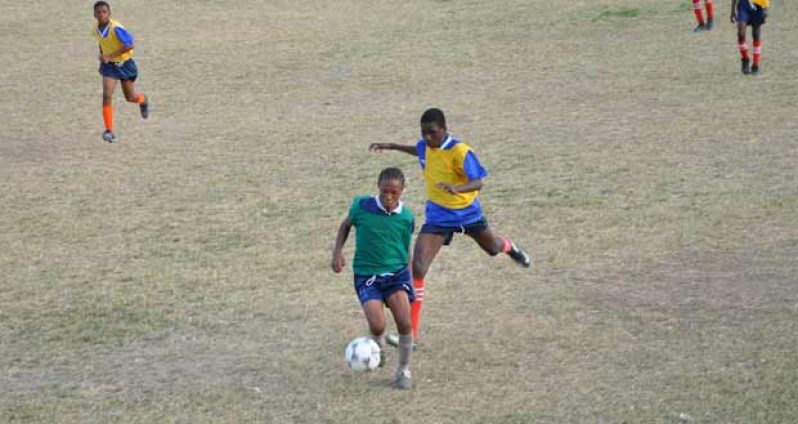 Dolphin Secondary School’s Job Caesar (green bib) shields the ball from this Charlestown player, during their quarterfinals matchup yesterday afternoon.