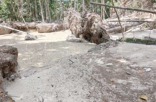 Illegal mining and damage in the Iwokrama Forest in November 2025