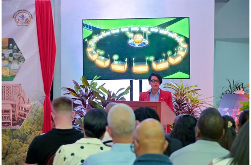 Minister of Tourism, Industry and Commerce, Susan Rodrigues, delivers remarks at a recent engagement (Ministry of Tourism, Industry and Commerce photo)