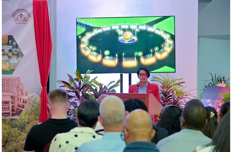 Minister of Tourism, Industry and Commerce, Susan Rodrigues, delivers remarks at a recent engagement (Ministry of Tourism, Industry and Commerce photo)