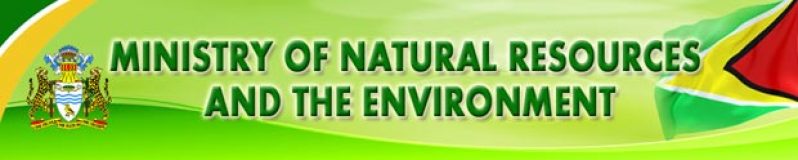 Ministry of Natural Resources and the Environment