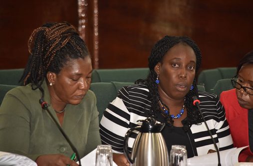 Permanent Secretary, Ministry of Public Security, Daniella Mc Calmon