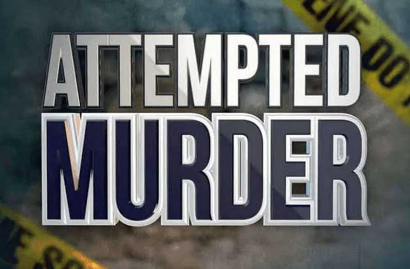 Murder-Investigation