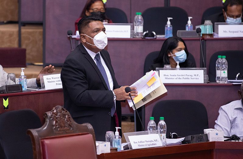 Agriculture Minister, Zulfikar Mustapha, during his contribution, on Wednesday, to the Budget Debate