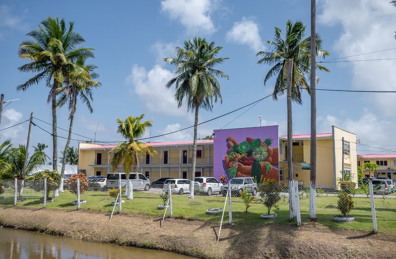 NAREI's main building (Delano Williams photos)