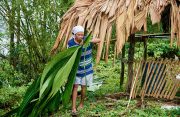 Aubrey Seon building a benab in Old England Village (Samuel Maughn photos)