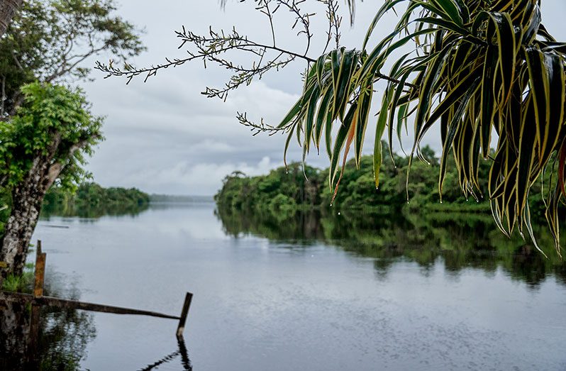 The majestic Demerara River runs through Old England Village (Samuel Maughn photos)