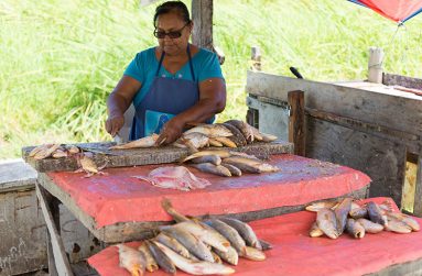 Parbattie Singh – the lone, female fisher folk vending at her fish stand