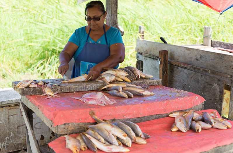 Parbattie Singh – the lone, female fisher folk vending at her fish stand