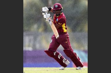 Matthew Nandu gathers runs through the off-side during his hundred yesterday