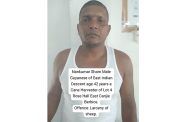 Arrested: Nankumar Sham