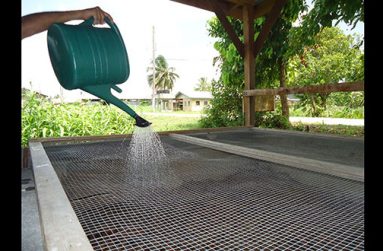 Water being applied to the vermicomposting bin