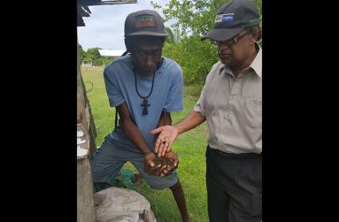 Farmer Trotman showing his vermicast to NAREI's CEO, Dr. Oudho Homenauth