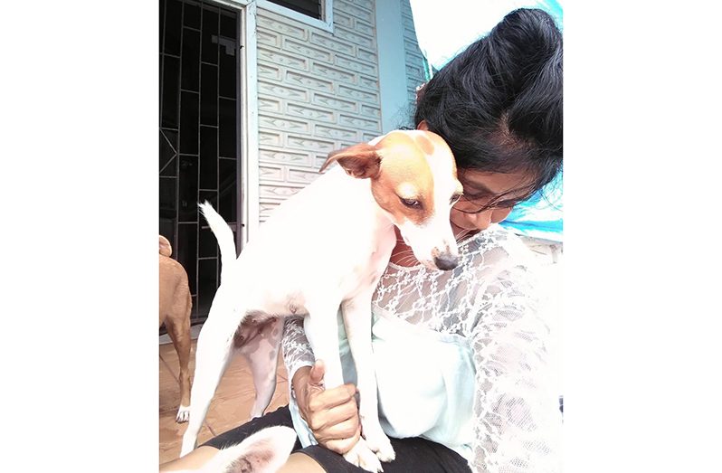 Neeta Mangal and one of her 22 dogs