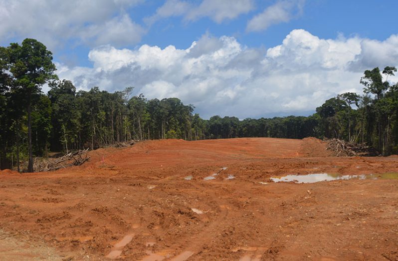 GUYANA Goldfields Incorporated is in the process of constructing a new airstrip within its concession located in Region Seven (Cuyuni/ Mazaruni)