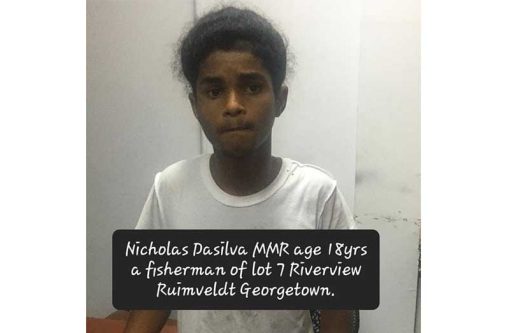 Nicholas-DaSilva Nicholas DaSilva