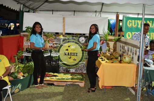 Flash back! The NARI booth displaying some of the produce on behalf of farmers. In the photo are extension staffs of NARI.
