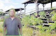 Leader of the APNU, Aubrey Norton and in the background, the infamous Durban Park