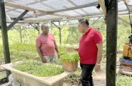 A plant nursery in Plegt Anker Village, East Bank Berbice, is flourishing and making a significant impact on local agriculture, thanks to targeted investment and collaborative support from the Ministry of Agriculture and the UNDP