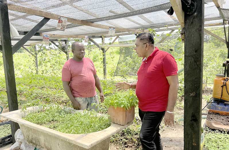A plant nursery in Plegt Anker Village, East Bank Berbice, is flourishing and making a significant impact on local agriculture, thanks to targeted investment and collaborative support from the Ministry of Agriculture and the UNDP