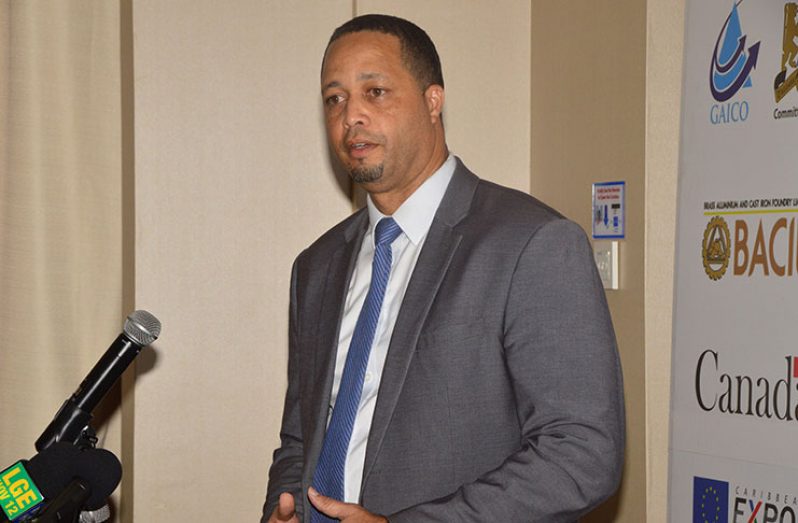 Chief Executive Officer (CEO) of Guyana Office for Investment (GO-Invest) Owen Verwey