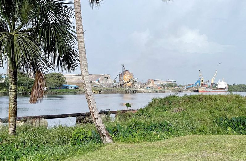 A ship docks in Linden, Guyana (REUTERS/Gram Slattery)