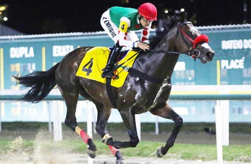 Olympic National in action at the Gávea Racetrack in Rio de Janeiro, Brazil
