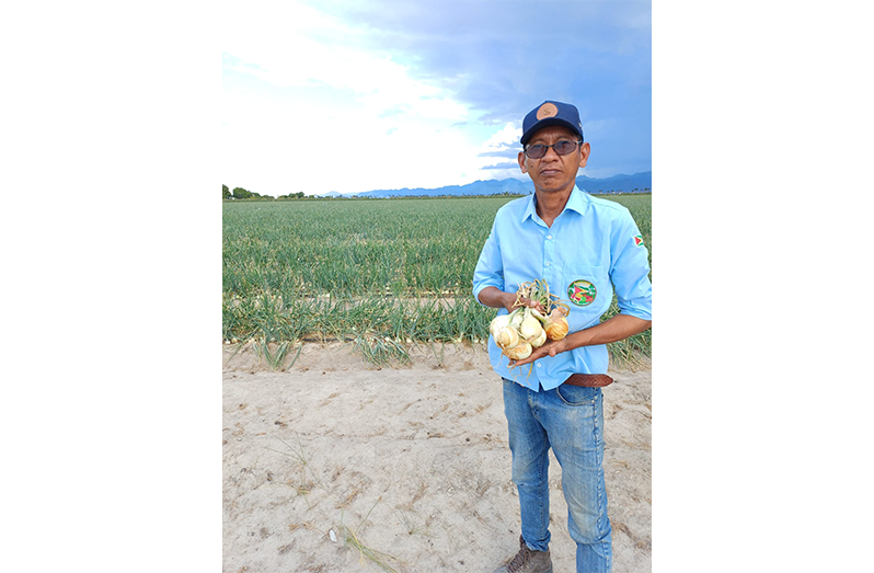 Region Nine farmer, Christopher Moses on his Manari farm celebrating the success of the first five-acre onion pilot project
