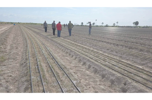 The NAREI is partnering with farmer Christopher Moses to cultivate five acres of onions in Lethem