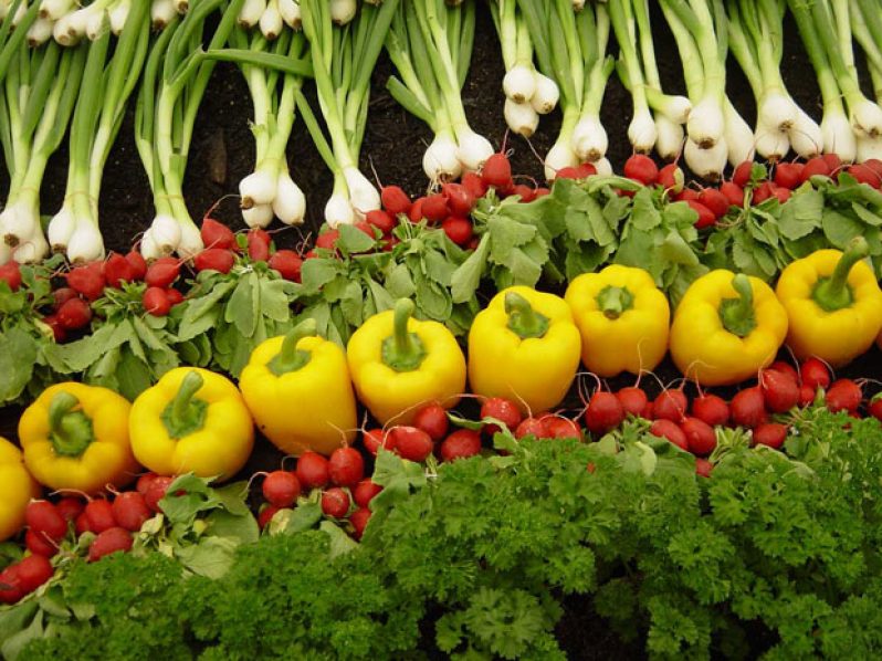 Organic-Farming-Food_agriculture