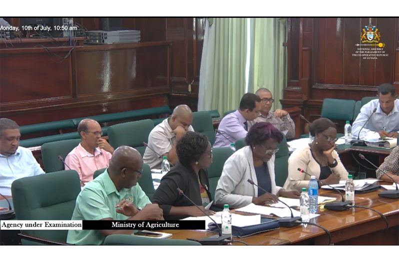 The Ministry of Home Affairs and Guyana Police Force representatives at Monday’s PAC meeting