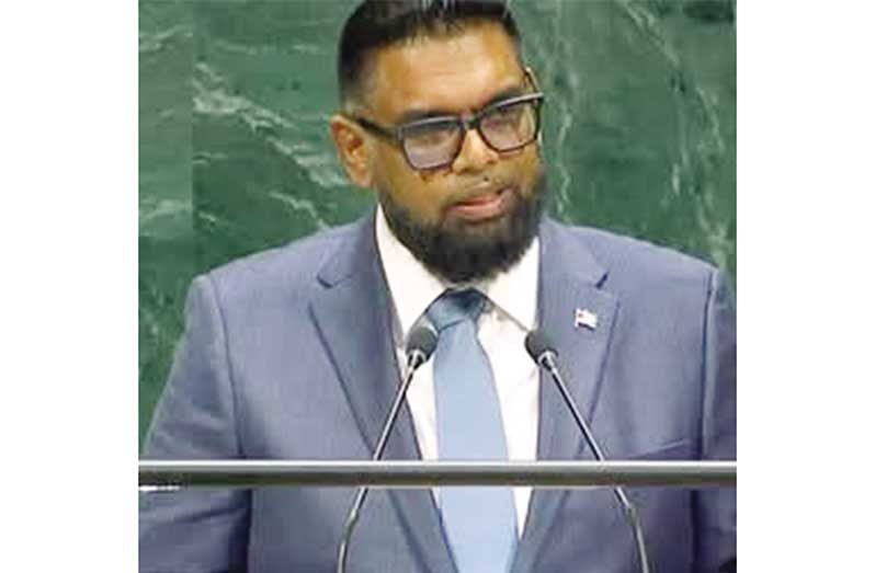 President Dr Irfaan Ali