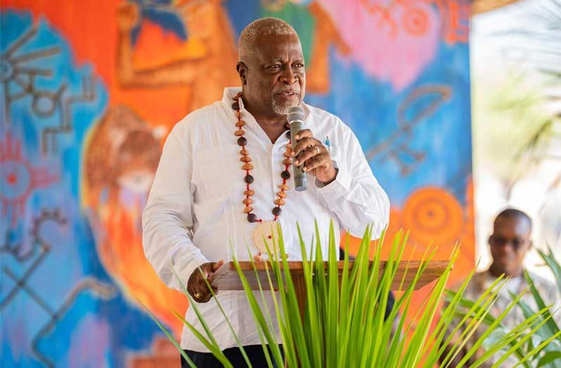 PM Phillips delivering remarks at the Nappi Heritage Day celebrations