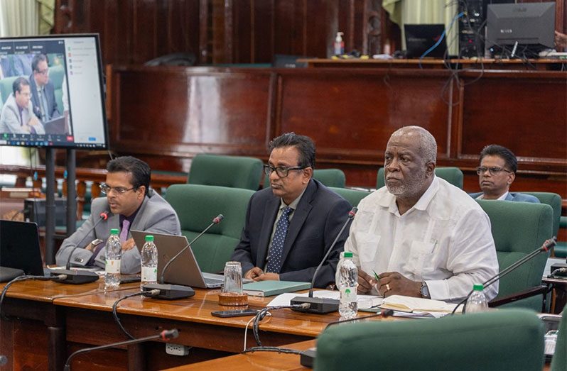Prime Minister, Brigadier (Ret’d) Mark Phillips (seated third from left) and members of the various teams before the Parliamentary Sectoral Committee on Economic Services, on Wednesday