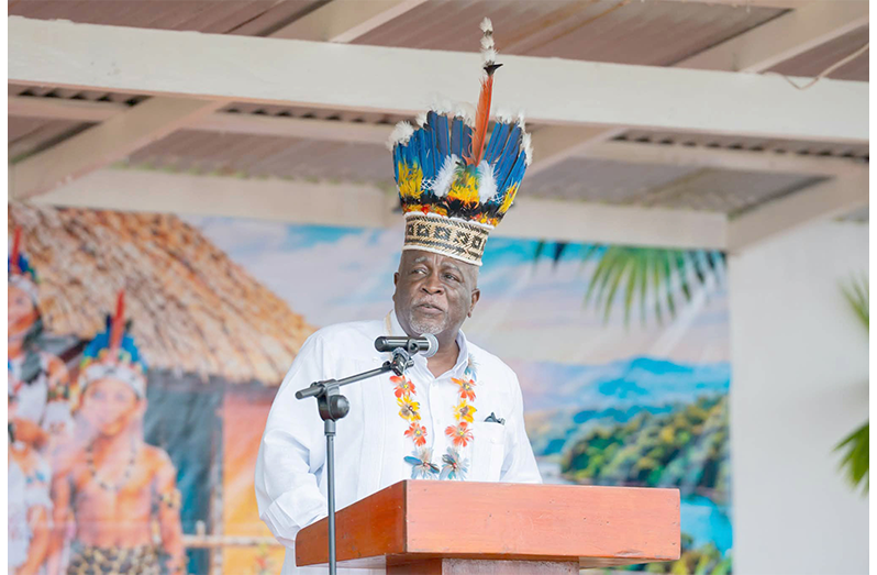 PM Phillips during his address during the Heritage Village celebrations at Bumbury, Region One