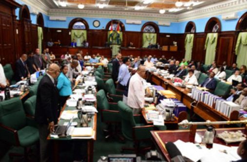 The Opposition side of the House standing to protest the halting of  MP Dharamlall’s presentation  by the Speaker