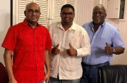 Bharrat Jagdeo, Irfaan Ali and Mark Phillips