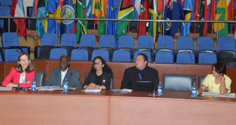 The Chair, Dr Asunta Vivo Cavaller, accompanied by the panelists, Dr Lloyd Barnett (Greater Caribbean for Life), Prithima Kissoon (Deputy Solicitor General,  Legal Affairs Ministry), Leo Bradley Jr (Human Rights Commission, Belize) and Merle Mendonca (Guyana Human Rights Association representative)