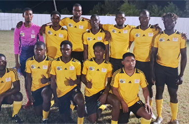 Paradise The Paradise team