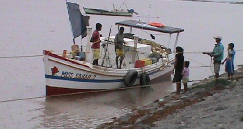 Fishermen clearing their seine of the floating seaweed at Paradise Village