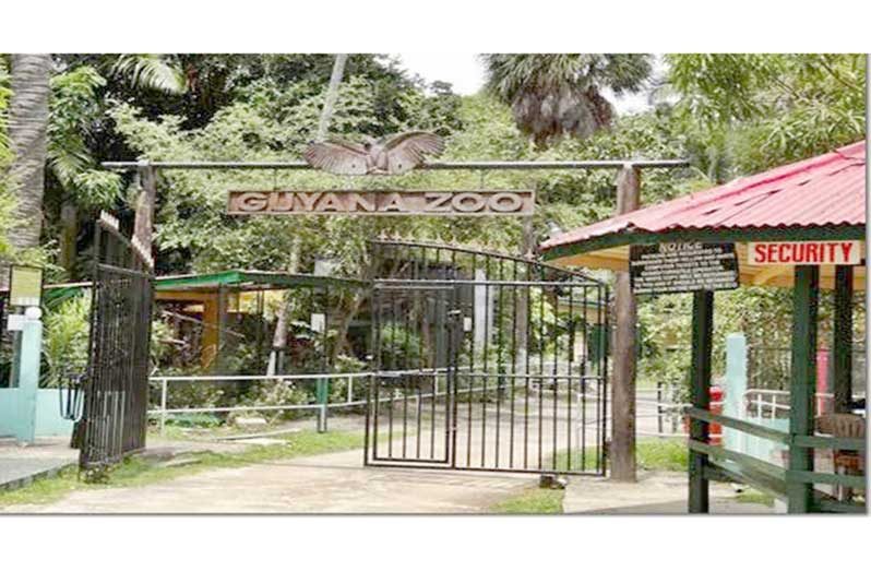 The Guyana Zoological Park has been temporarily closed to the public as preparatory works begin for a major transformation project that will modernise the facility and improve conditions for animals