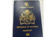 Passport--3