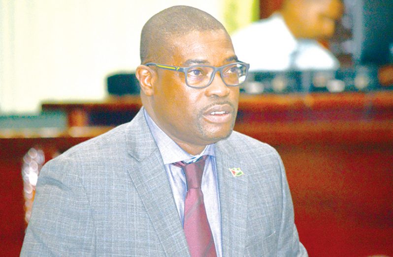 Minister of Public Infrastructure  David Patterson