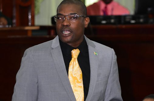 Minister of Public Infrastructure, David Patterson