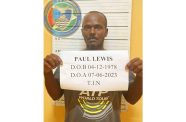 Jailed: Paul Lewis