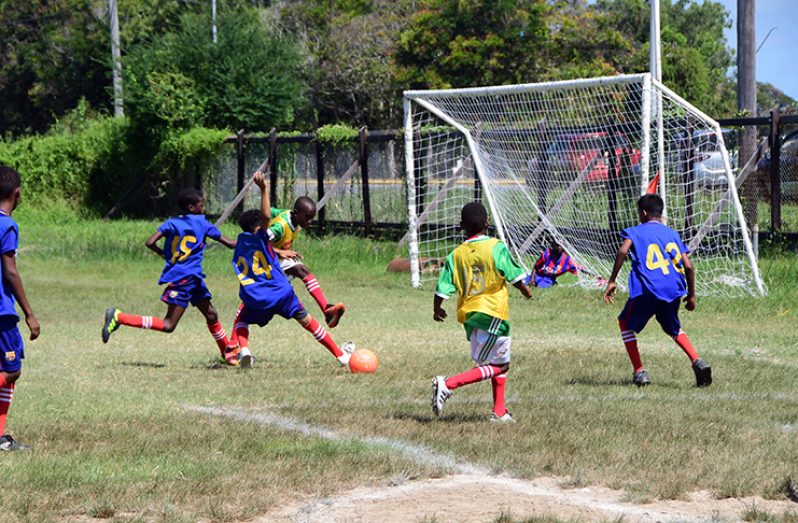Quarter-final action in the COURTS Pee Wee football tournament gets going from 14:40 today.