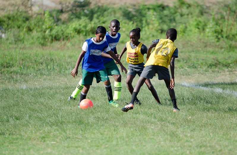 Action resumes this weekend in the COURTS Pee Wee football competition.