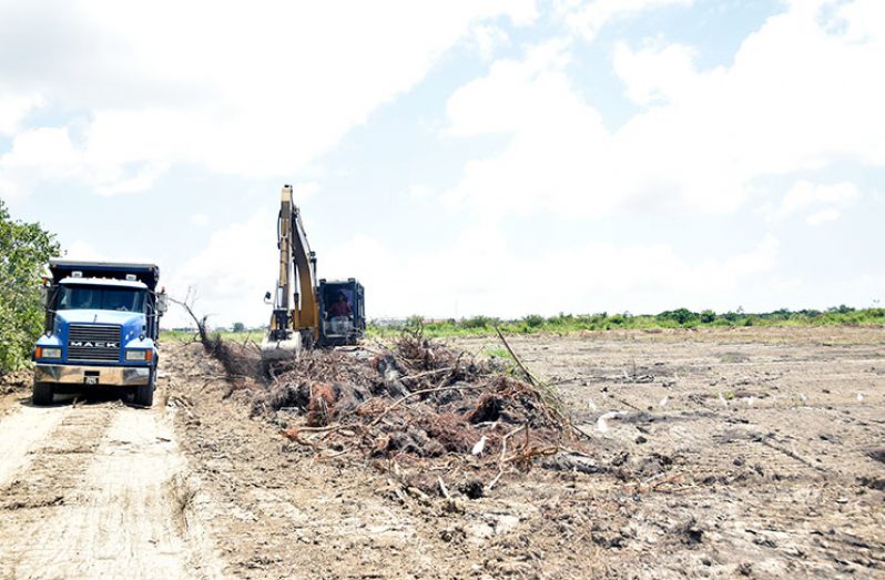 Contractors clearing the land at Perseverance (Photo by Adrian Narine)