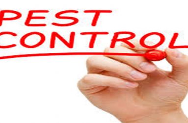 Pest-Control