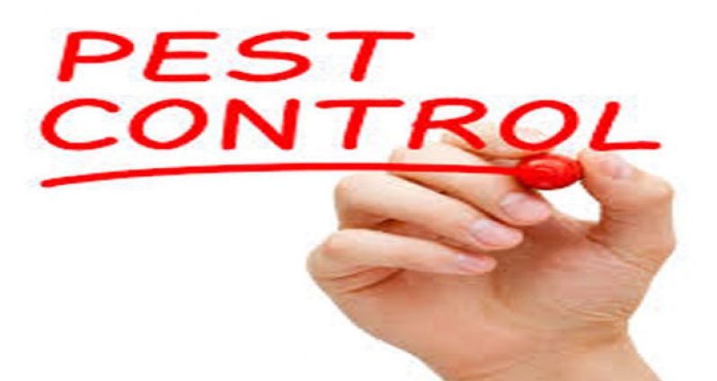 Pest-Control